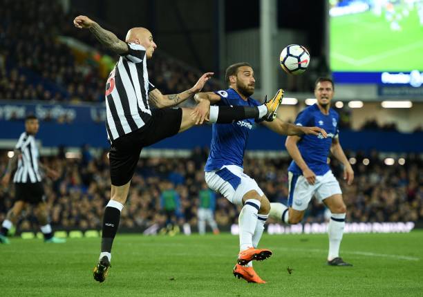 探索红白军 探索红白军