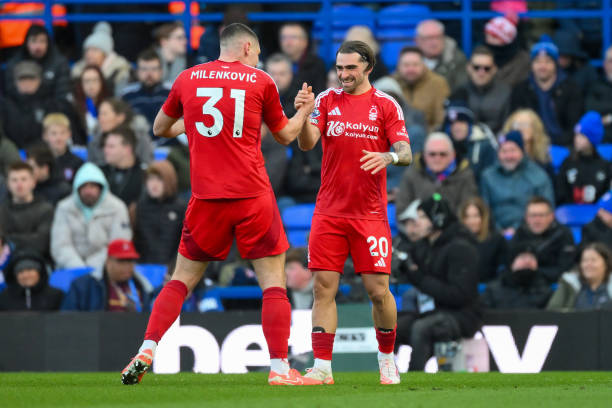 孔德这种级 孔德这种级